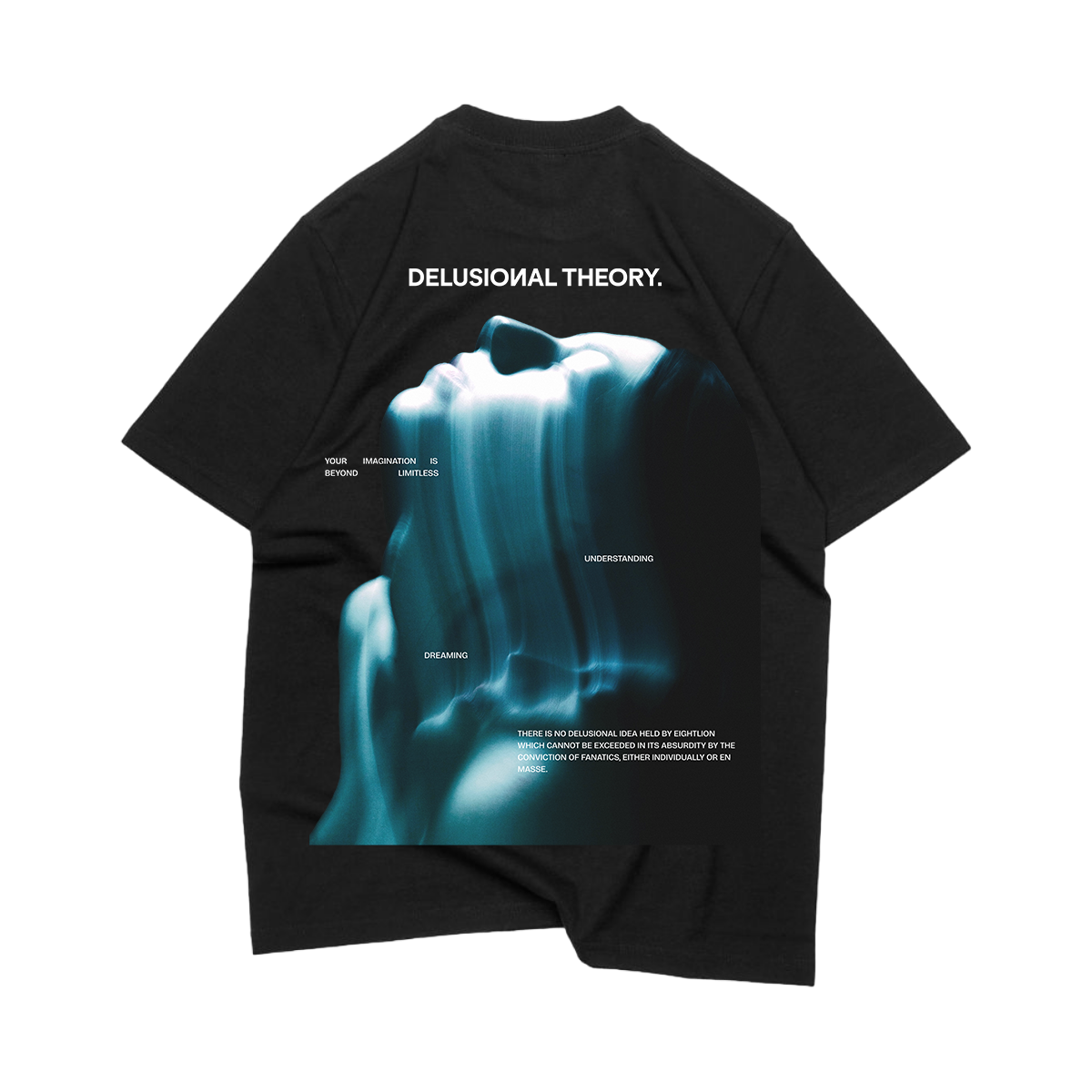 OVERSIZE T-SHIRT DELUSIONAL THEORY BACK